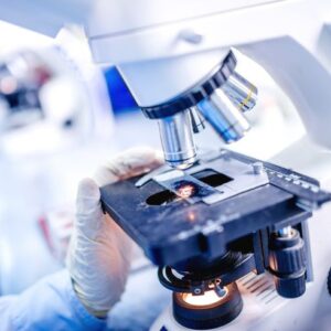 Investigación