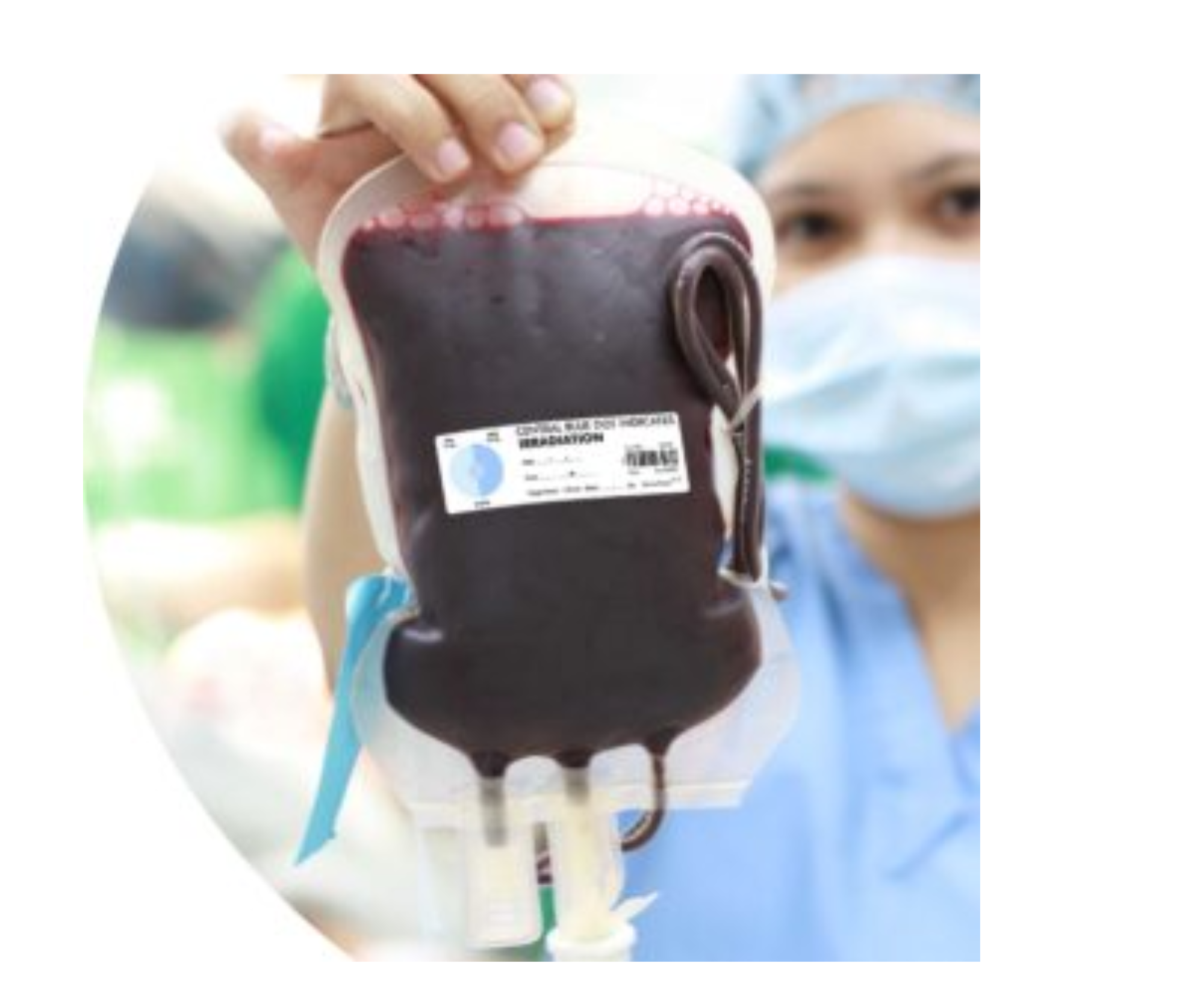 Etiqueta Rad-Tag para irradiación de hemocomponentes y control de plagas