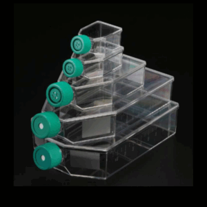 Frascos de cultivo celular estériles en diferentes tamaños