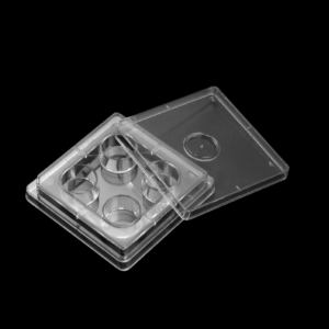 Placa de cultivo celular de 4 pozos SPL Life Sciences