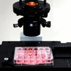 Placas de cultivo celular de 96 pozos en colores blanco y negro, para ensayos de fluorescencia y luminiscencia.