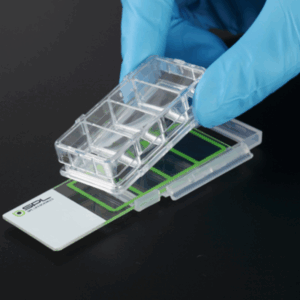 Portaobjetos para cultivo celular con cámara desmontable y superficie avanzada para experimentos inmunocitológicos.