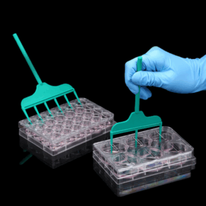 Imagen del raspador SPLScar™ para estudios de cicatrización y migración celular