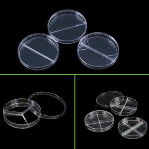 Placas de Petri divididas SPL con 2, 3 y 4 compartimentos esterilizadas Placas de Petri divididas SPL con 2, 3 y 4 compartimentos esterilizadas